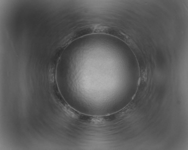 X0000074280666200608251320