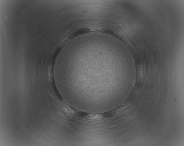 X0000074280667200608251320