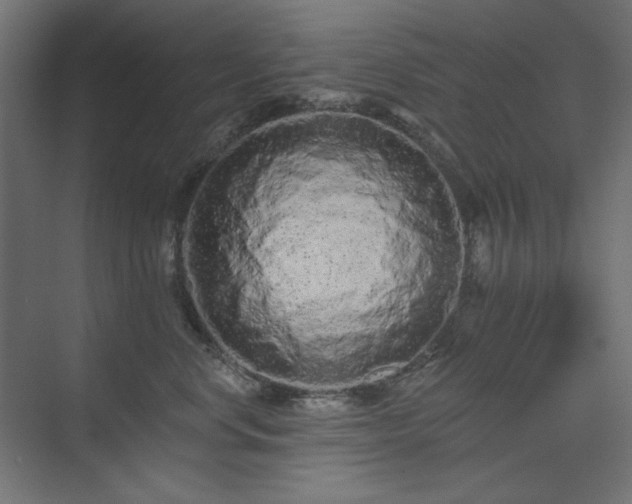 X0000074280668200608251320