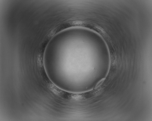 X0000074280669200608251320