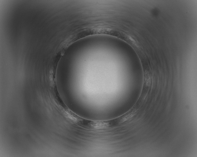 X0000074280670200608251320