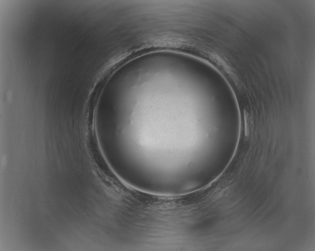 X0000074280675200608251319