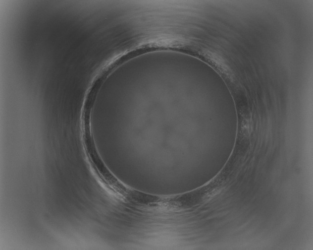 X0000074280678200608251319