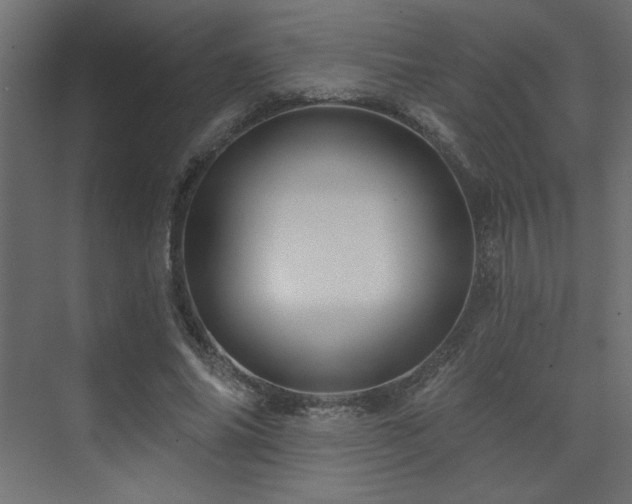 X0000074280686200608251319