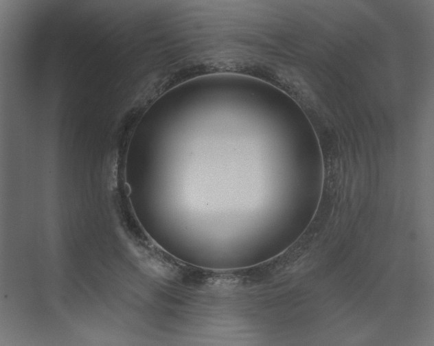 X0000074280694200608251319
