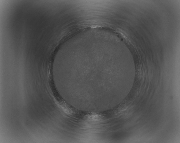 X0000074280695200608251318