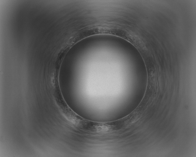 X0000074280698200608251318
