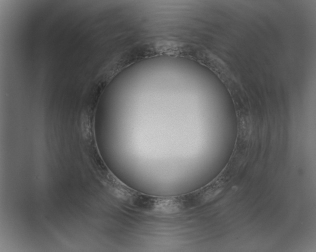 X0000074280705200608251318