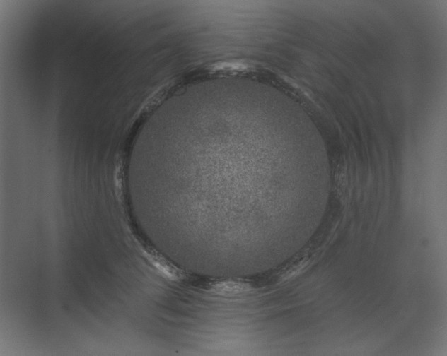 X0000074280708200608251318
