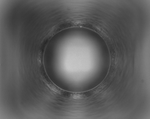 X0000074280710200608251318