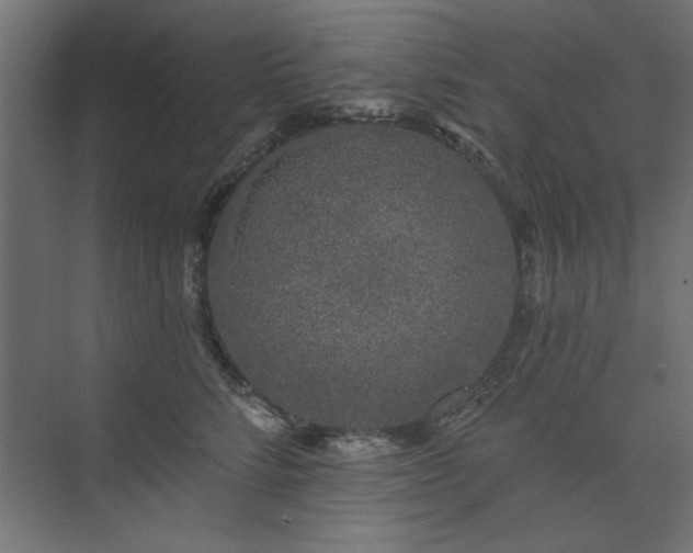X0000074280712200608251318