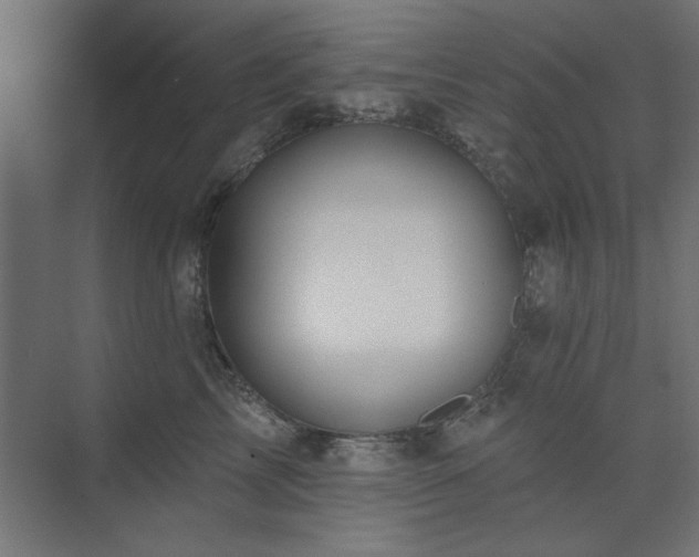 X0000074280713200608251318
