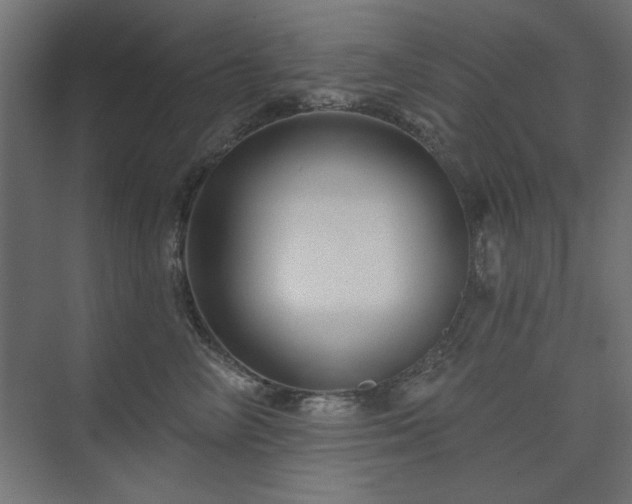 X0000074280714200608251318