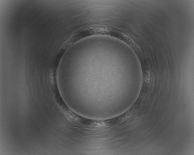 X0000074280715200608251318