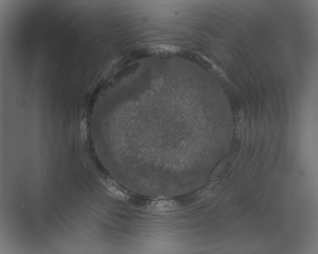 X0000074280716200608251318