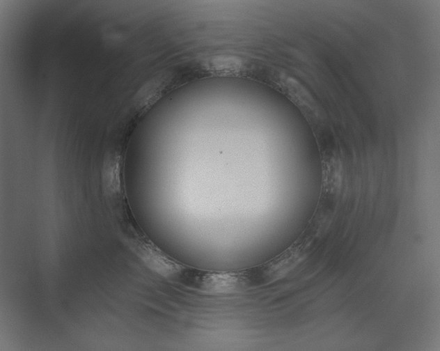 X0000074280717200608251318