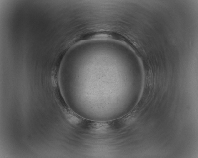 X0000074280719200608251318