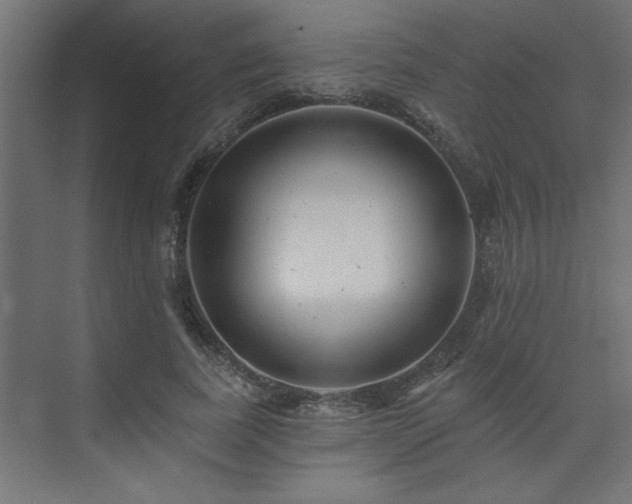 X0000074280739200608251318