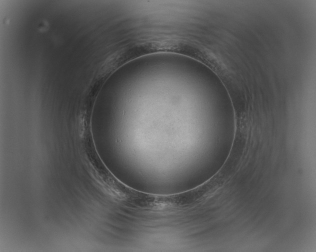 X0000074280741200608251318