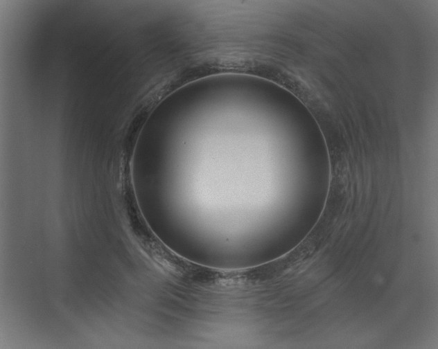 X0000074280744200608251318