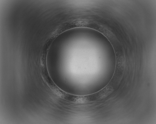 X0000074280755200608251318