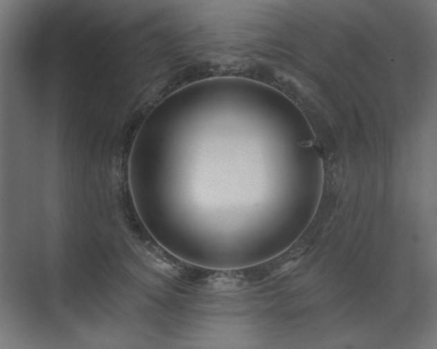 X0000074280756200608251318