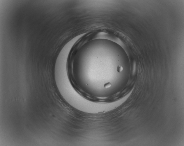 X0000074280762200608251318