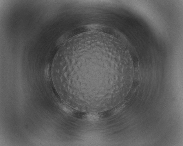 X0000074280765200608251318