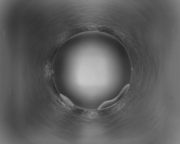 X0000074280768200608251318