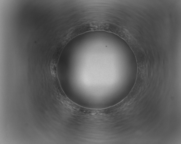 X0000074280770200608251317