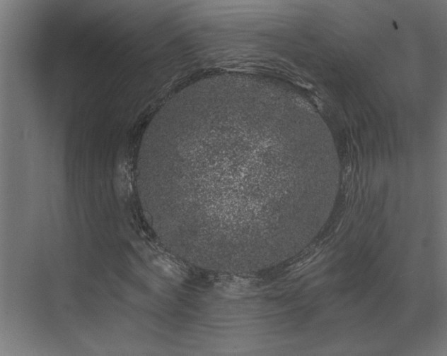 X0000074280772200608251317
