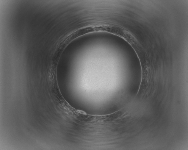 X0000074280773200608251317