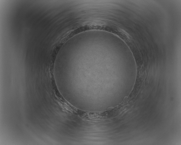 X0000074280774200608251317