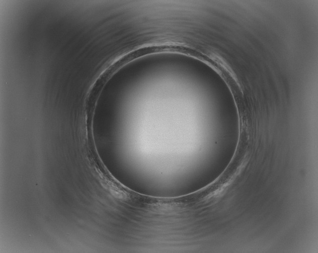 X0000074280781200608251317