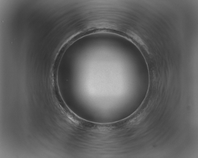 X0000074280782200608251317