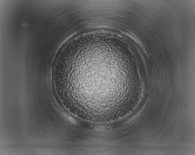 X0000074280790200608251317