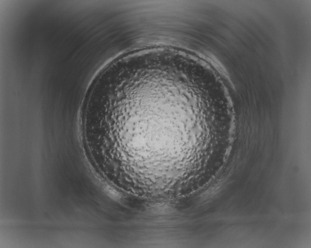X0000074280798200608251317