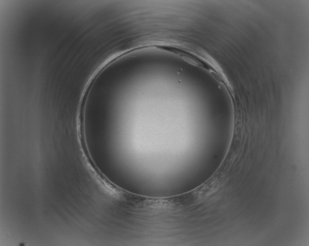 X0000074280811200608251317