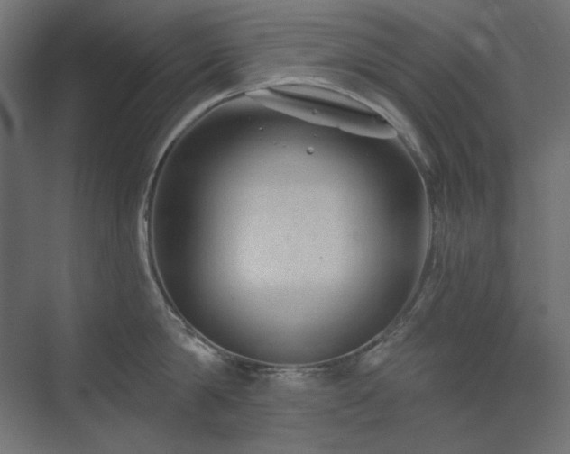 X0000074280814200608251316
