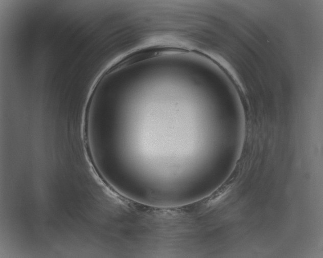 X0000074280815200608251316