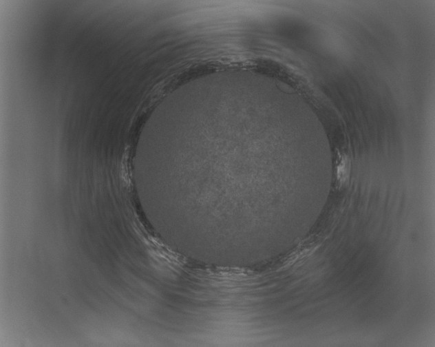 X0000074280819200608251316