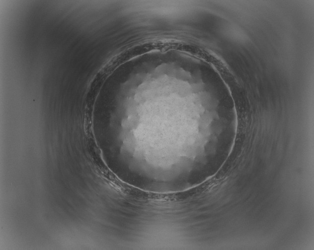X0000074280823200608251316