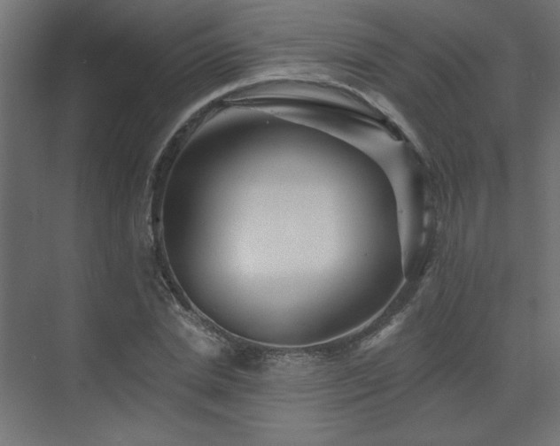 X0000074280830200608251316