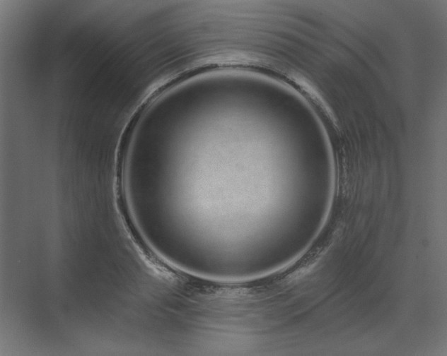 X0000074280845200608251316