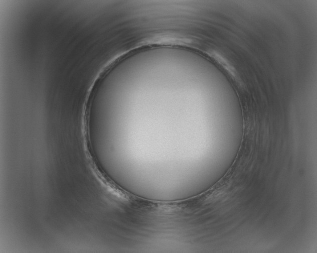 X0000074280848200608251316