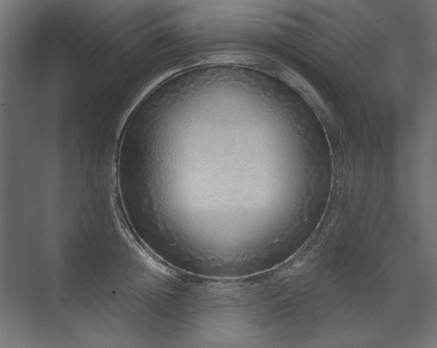 X0000074280852200608251316