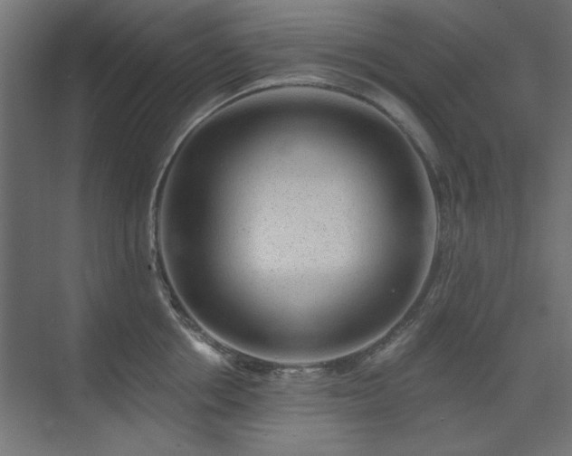 X0000074280858200608251316