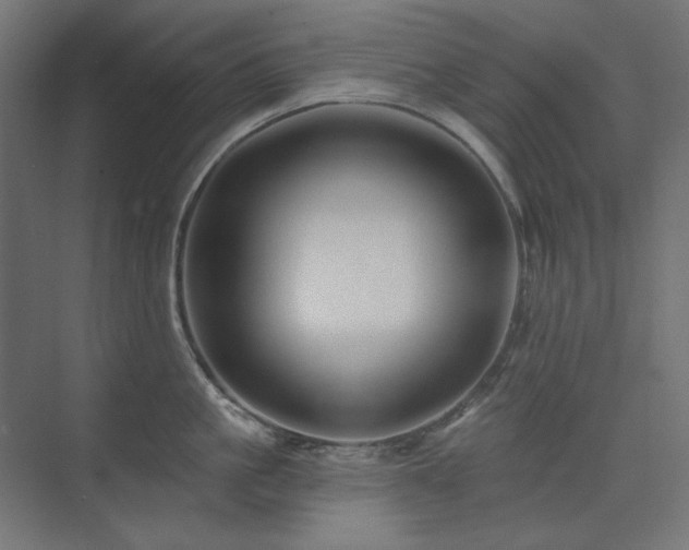 X0000074280861200608251316