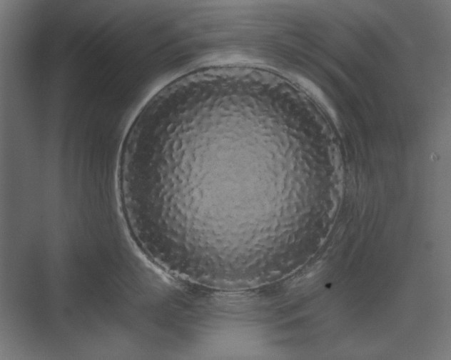 X0000074280863200608251316