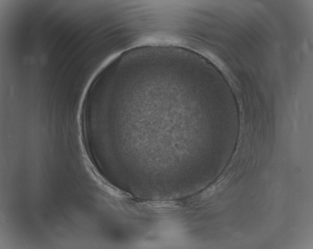 X0000074280864200608251316